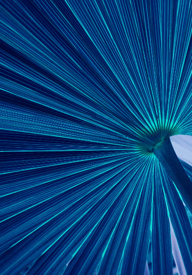 AdobeStock