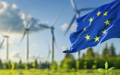 ESMA Tightens the Reins: What Investors Need to Know About Sustainable Fund Labeling