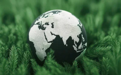 Who Regulates ESG? — A Look at Global ESG Standards and Frameworks