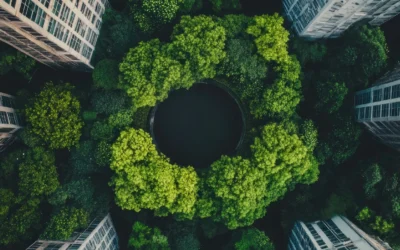 What Can Asset Managers Do to Mitigate Greenwashing Risks?