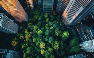 Navigating the Future: Innovative Solutions and Trends in ESG Disclosure