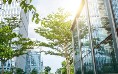 Biodiversity Disclosures in the Financial Sector: Emerging Trends