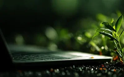 Understanding ESG Compliance: Key Terms, Risks, and Opportunities