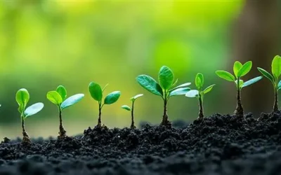 UN SDGs: How Global Goals Shape Corporate Sustainability Strategies