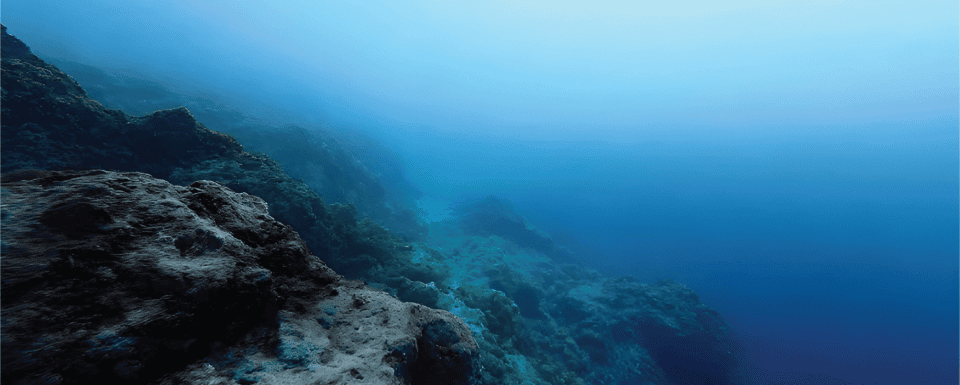 oceans (1)