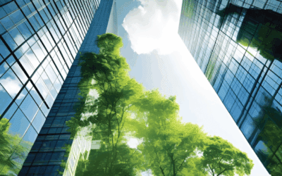 Measuring What Matters: Advancing from ESG Risk to Real Impact