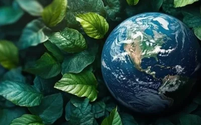 How Europe is Shaping the Future of ESG