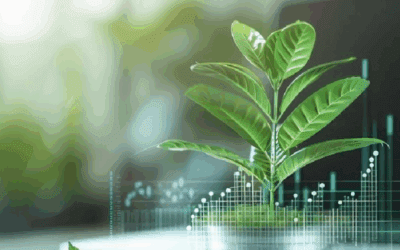 What Is OECD Screening and Why It Matters for Financial Institutions