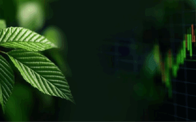 How Companies Address Biodiversity Risk: Insights from ESG Rating Analysis